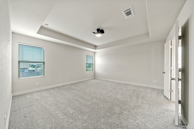 spare room featuring a wealth of natural light, a tray ceiling, and light carpet