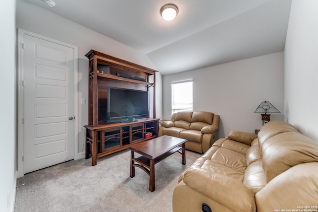 216 Paint Crk, Boerne, TX 78006 - living area with vaulted ceiling and light colored carpet