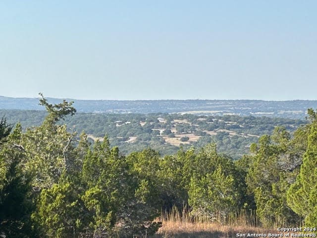 915 Overland Stage Rd, Dripping Springs TX, 78620 land for sale