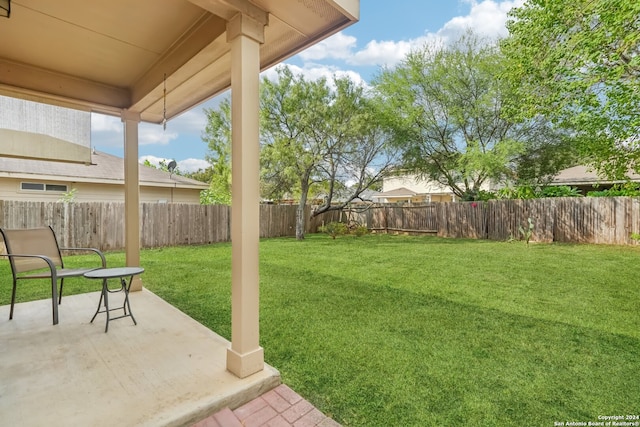 view of yard with a patio area