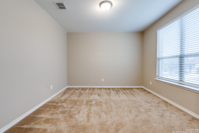 carpeted empty room featuring plenty of natural light