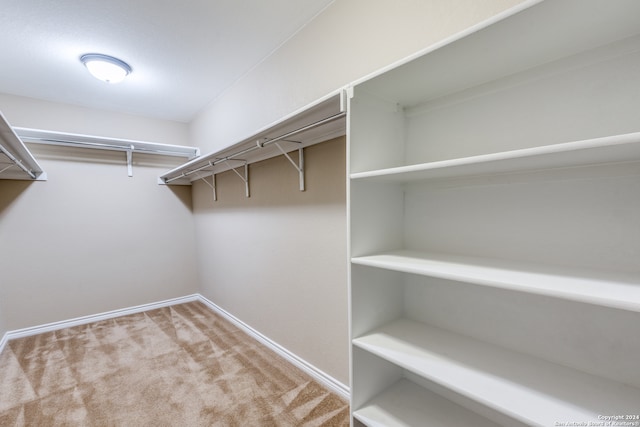 spacious closet featuring carpet floors