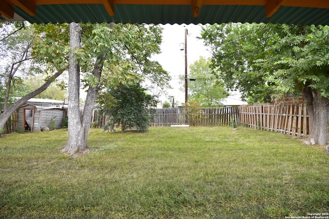 view of yard featuring a shed