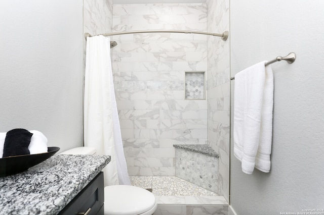 bathroom featuring a shower with curtain, vanity, and toilet