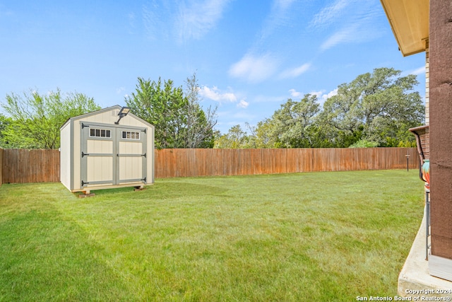 view of yard with a storage unit