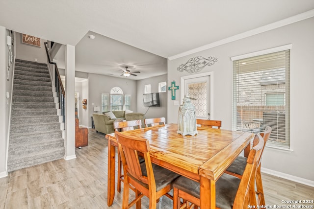 dining room with light hardwood / wood-style floors, ceiling fan, and crown molding