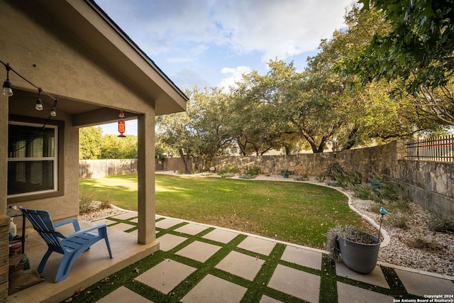 view of yard with a patio