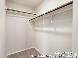 walk in closet featuring carpet flooring