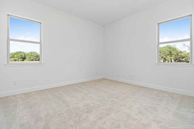 spare room with a wealth of natural light and carpet