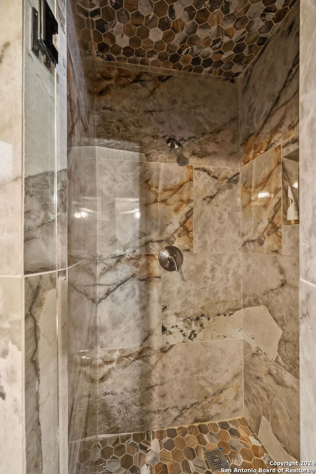 interior details featuring a tile shower