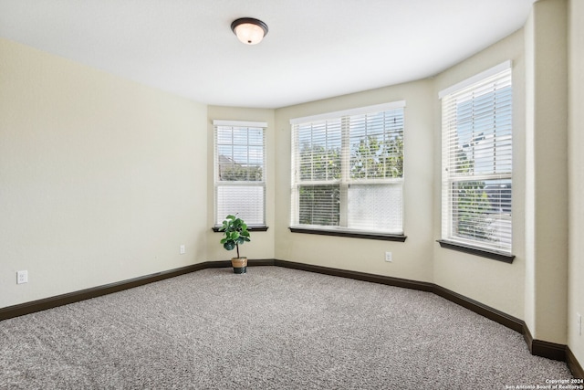 spare room featuring carpet flooring and plenty of natural light