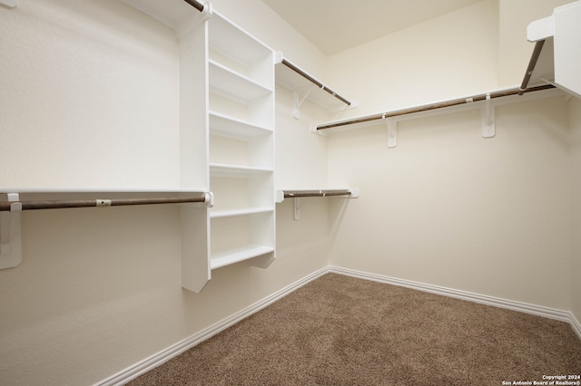 walk in closet with carpet flooring