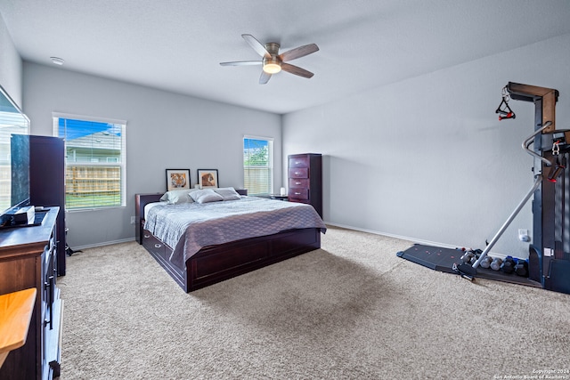 carpeted bedroom with multiple windows and ceiling fan