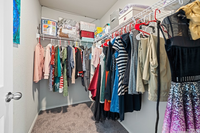 walk in closet with carpet flooring