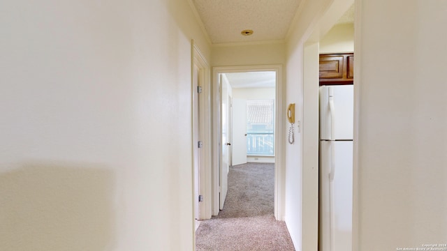 hall with a textured ceiling and light colored carpet