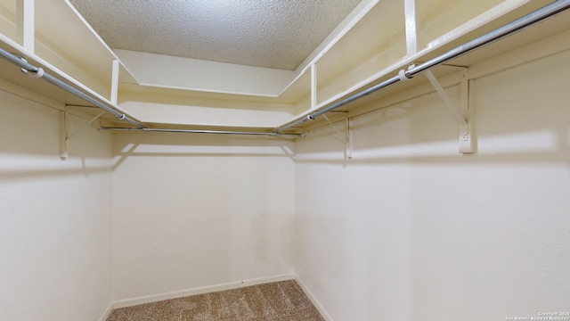 walk in closet with carpet floors