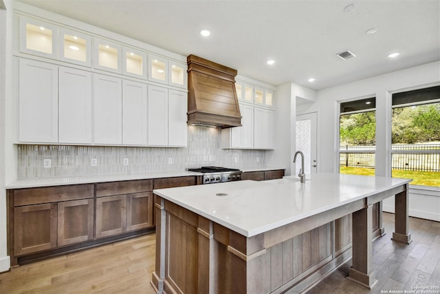 228 Dulce, Boerne, TX 78006 - kitchen with a sink, custom exhaust hood, light wood finished floors, backsplash, and light countertops