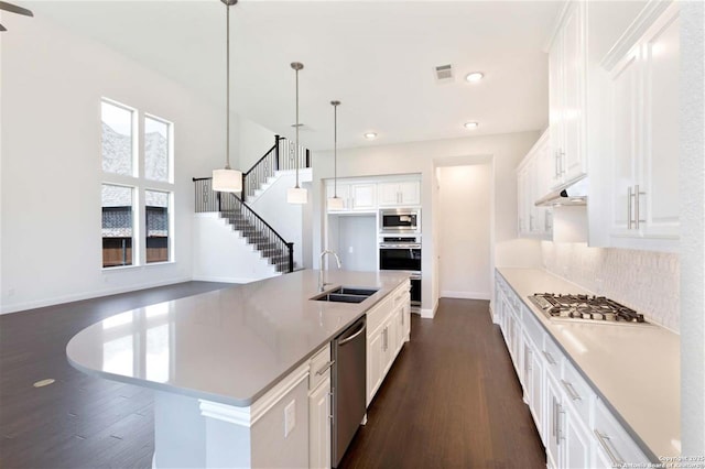 228 Dulce, Boerne, TX 78006 - kitchen with a sink, appliances with stainless steel finishes, under cabinet range hood, dark wood-style floors, and baseboards