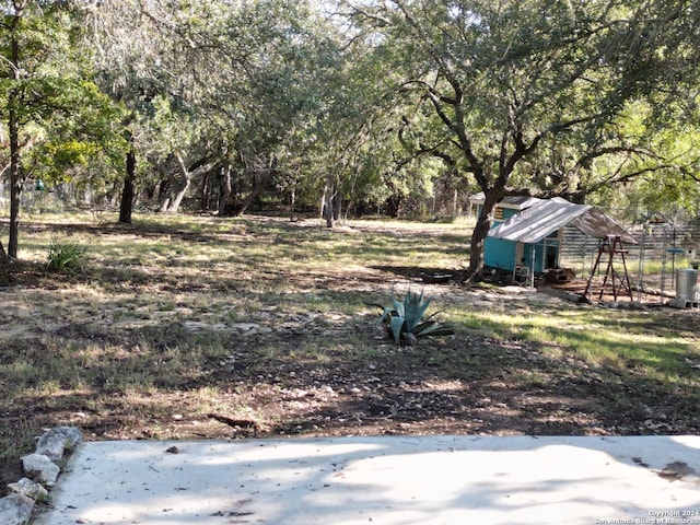 view of yard featuring a storage unit