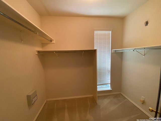 spacious closet featuring carpet floors