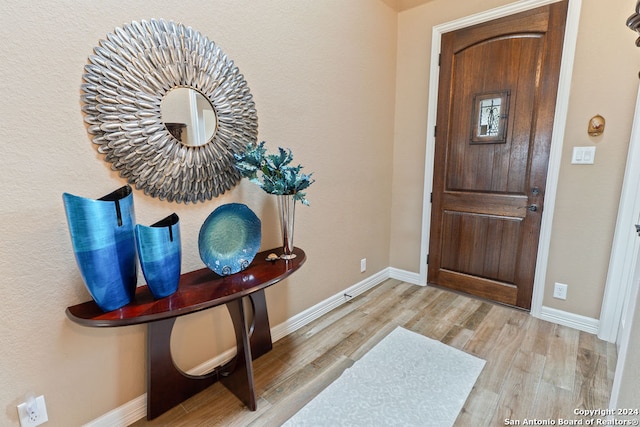 entrance foyer featuring light wood-type flooring