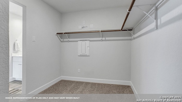 spacious closet featuring carpet flooring