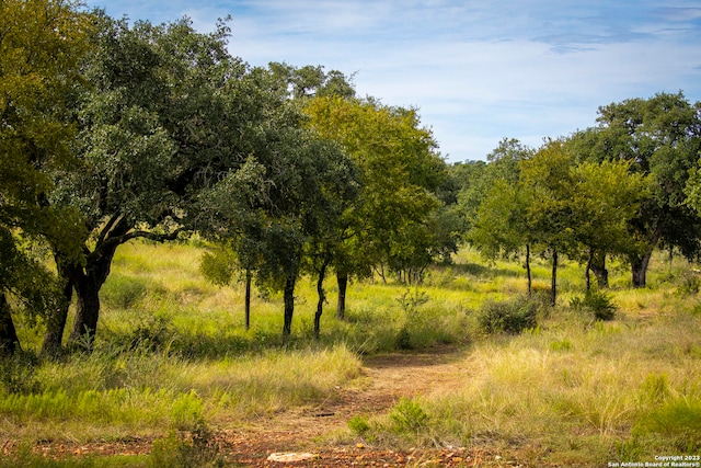 view of local wilderness with a rural view