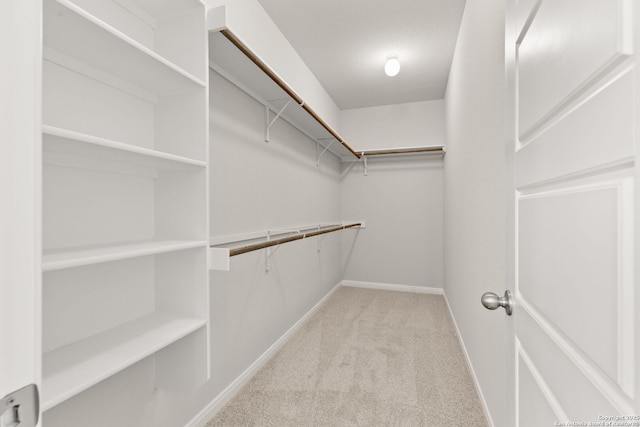 walk in closet featuring light colored carpet