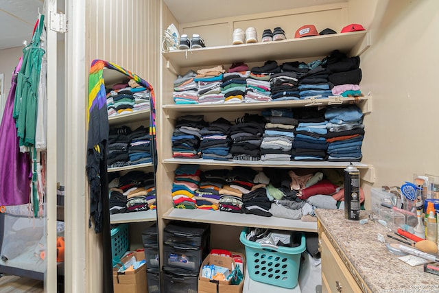 view of walk in closet