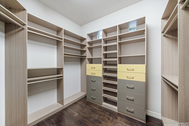 walk in closet featuring dark hardwood / wood-style flooring