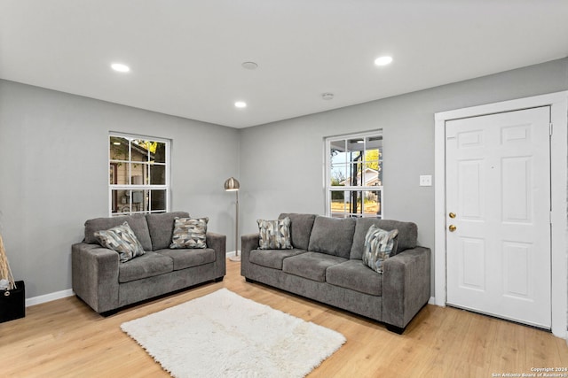 living room with light hardwood / wood-style floors