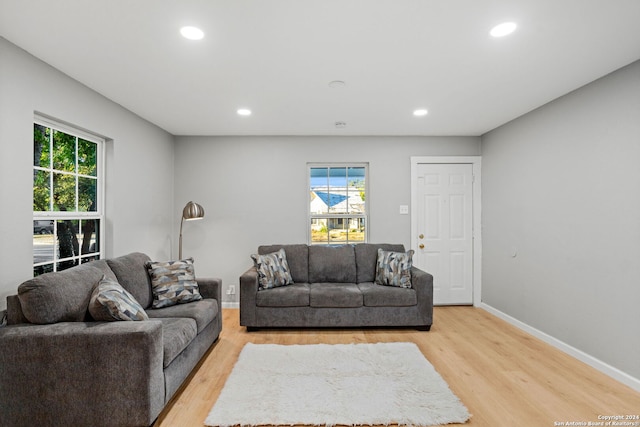 living room featuring light wood-type flooring