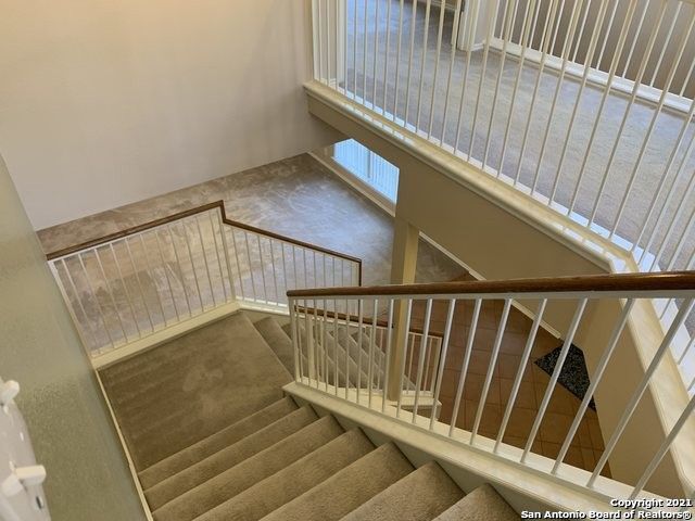 staircase featuring carpet