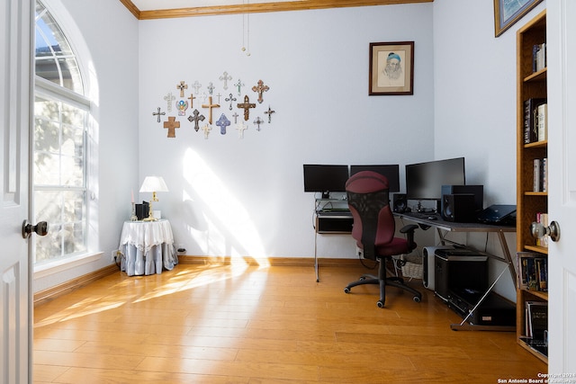 office with hardwood / wood-style floors and ornamental molding