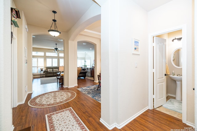 hall with sink and hardwood / wood-style flooring