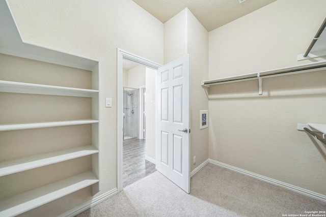 12009 Vignette, Schertz, TX 78154 - walk in closet with carpet