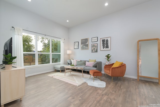 living room with hardwood / wood-style flooring