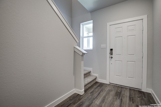 entrance foyer featuring dark hardwood / wood-style flooring