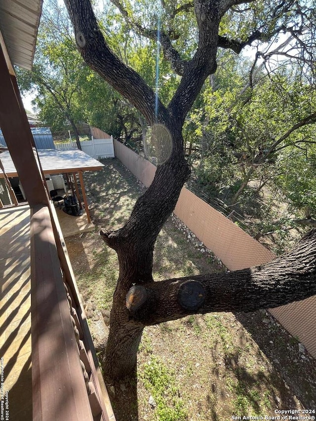 view of yard featuring a patio area