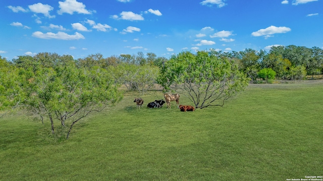 view of yard with a rural view