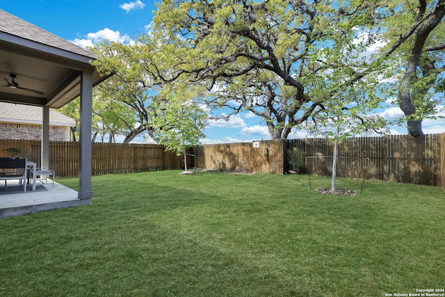 view of yard with a patio area