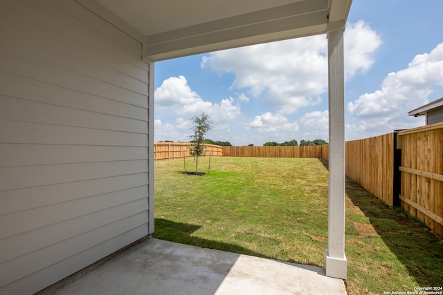 view of yard featuring a patio