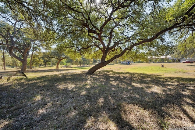 849 Krueger Cyn, New Braunfels, TX 78132 - view of yard