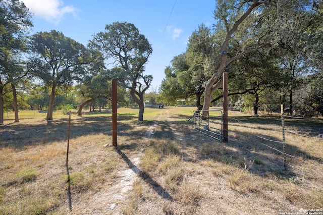 view of yard with a rural view