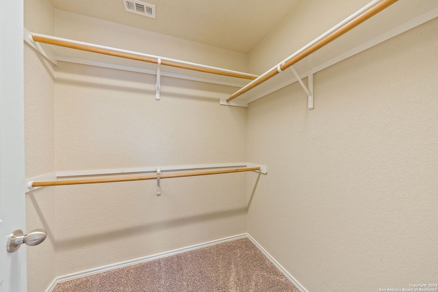 spacious closet featuring carpet