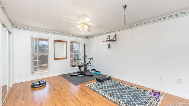 exercise room with hardwood / wood-style floors and ceiling fan