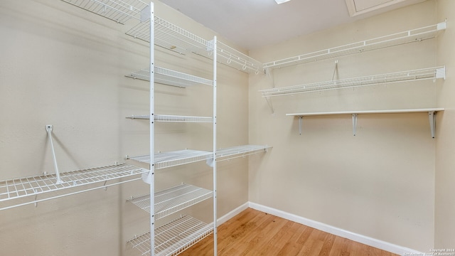 walk in closet featuring hardwood / wood-style floors