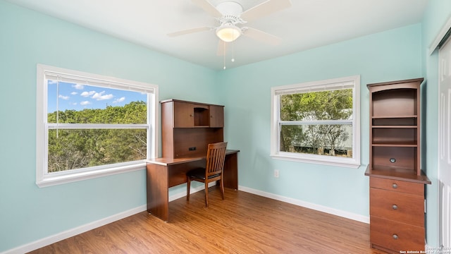 office area featuring light hardwood / wood-style floors and ceiling fan