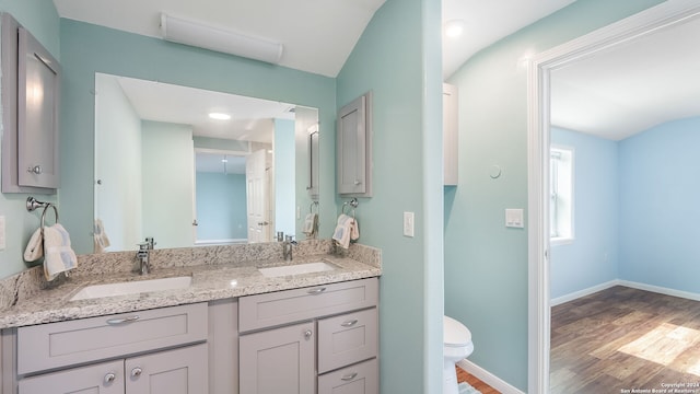 bathroom with hardwood / wood-style floors, vanity, and toilet