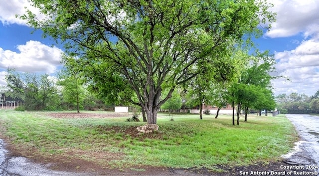 view of property's community with a lawn